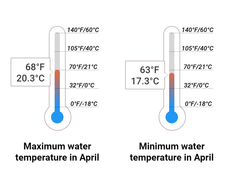 Average Sea temperature